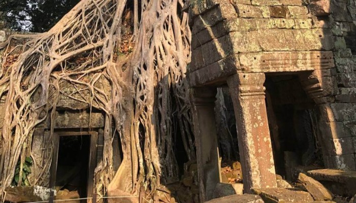Angkor private tour 1 day with sunrise and Tonle Sap